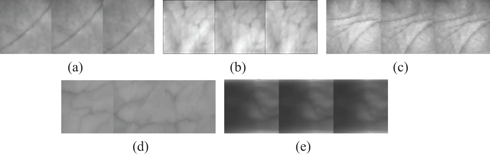 CMES | Free Full-Text | A Hand Features Based Fusion Recognition ...