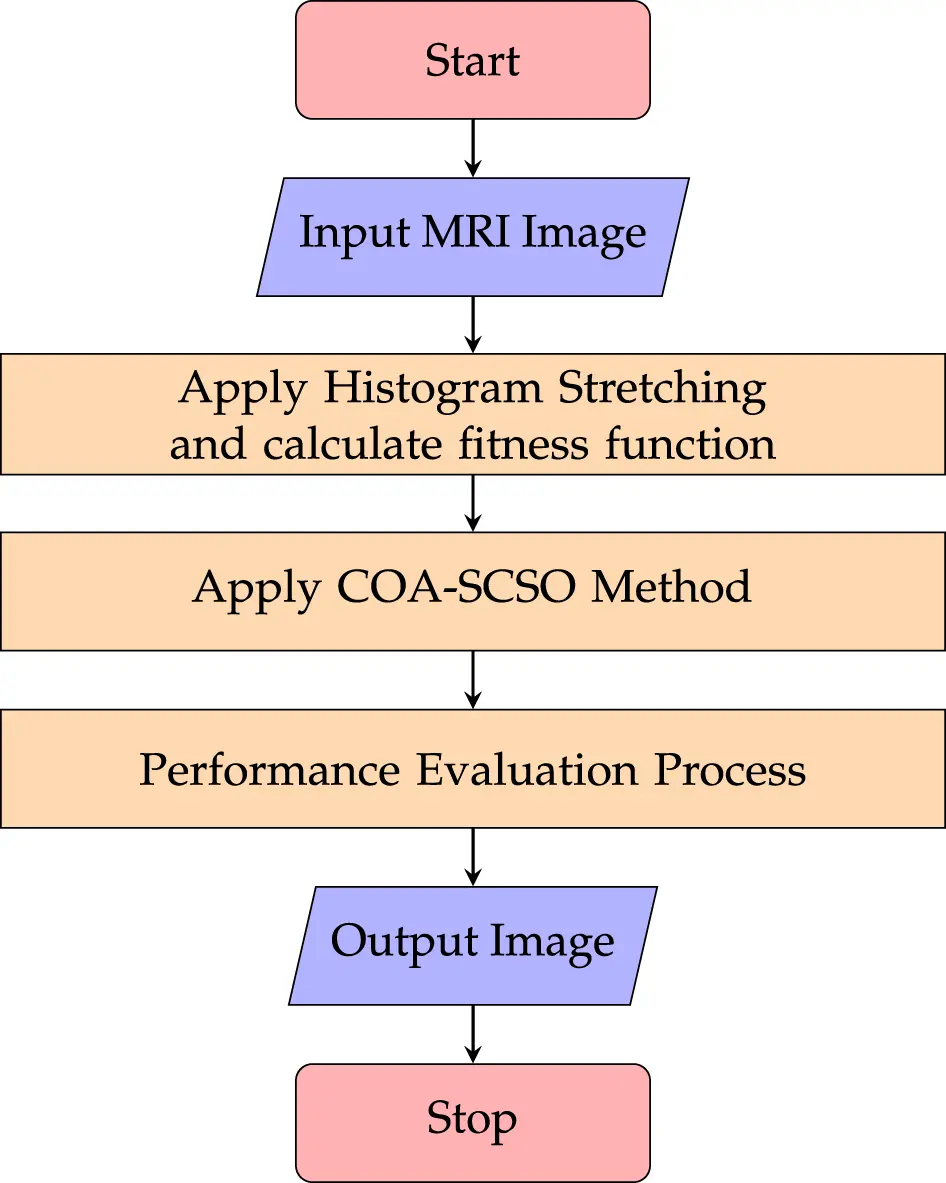 CMES | Free Full-Text | A Comprehensive Review and Algorithmic Analysis ...