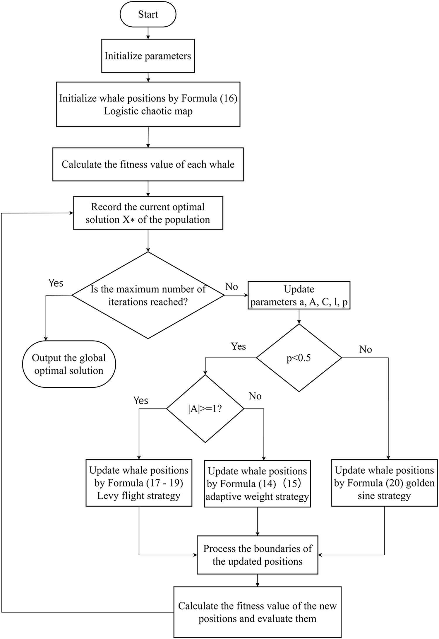 images