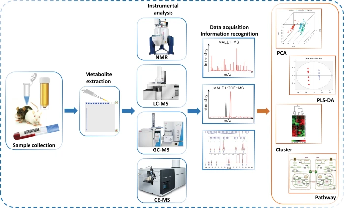 Ag+-Mediated DNA Nanomachine Cascade Nanomaterial