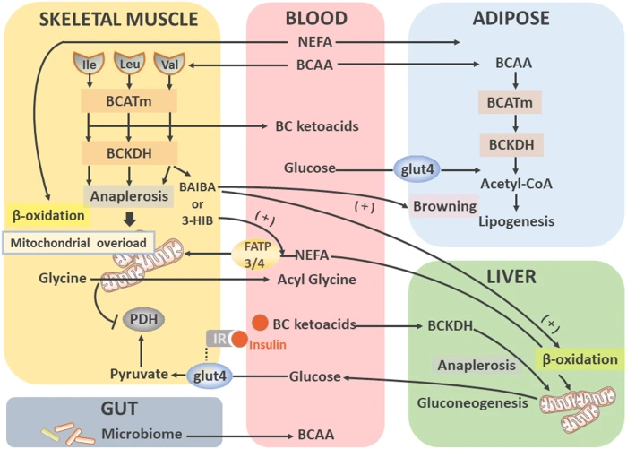 Full article: Exploring the epigenome to identify biological