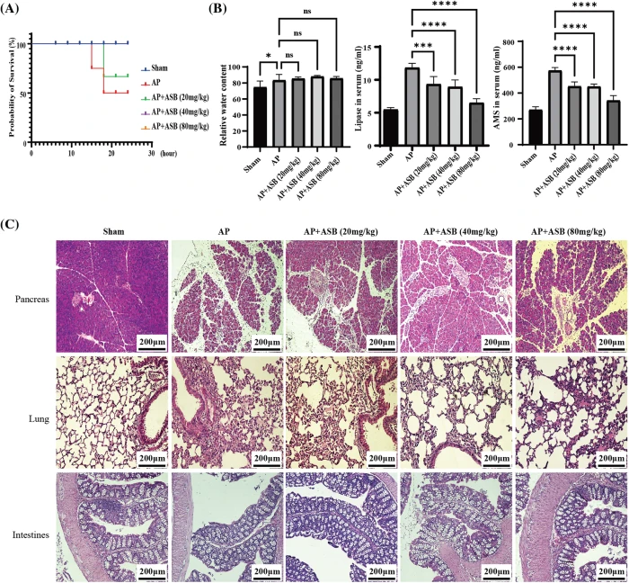 BIOCELL | Free Full-Text | Anemarsaponin B mitigates acute