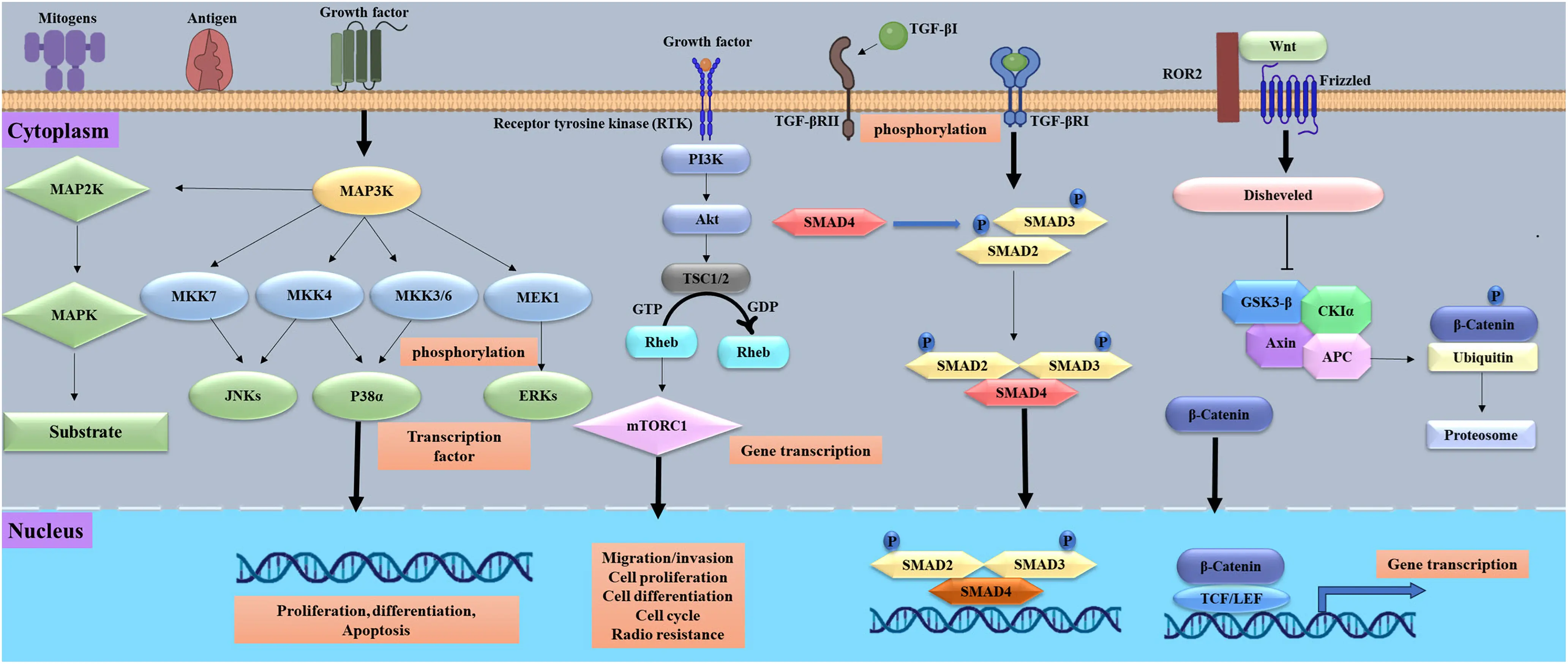 BIOCELL | Free Full-Text | Technological Innovations and Multi-Omics ...