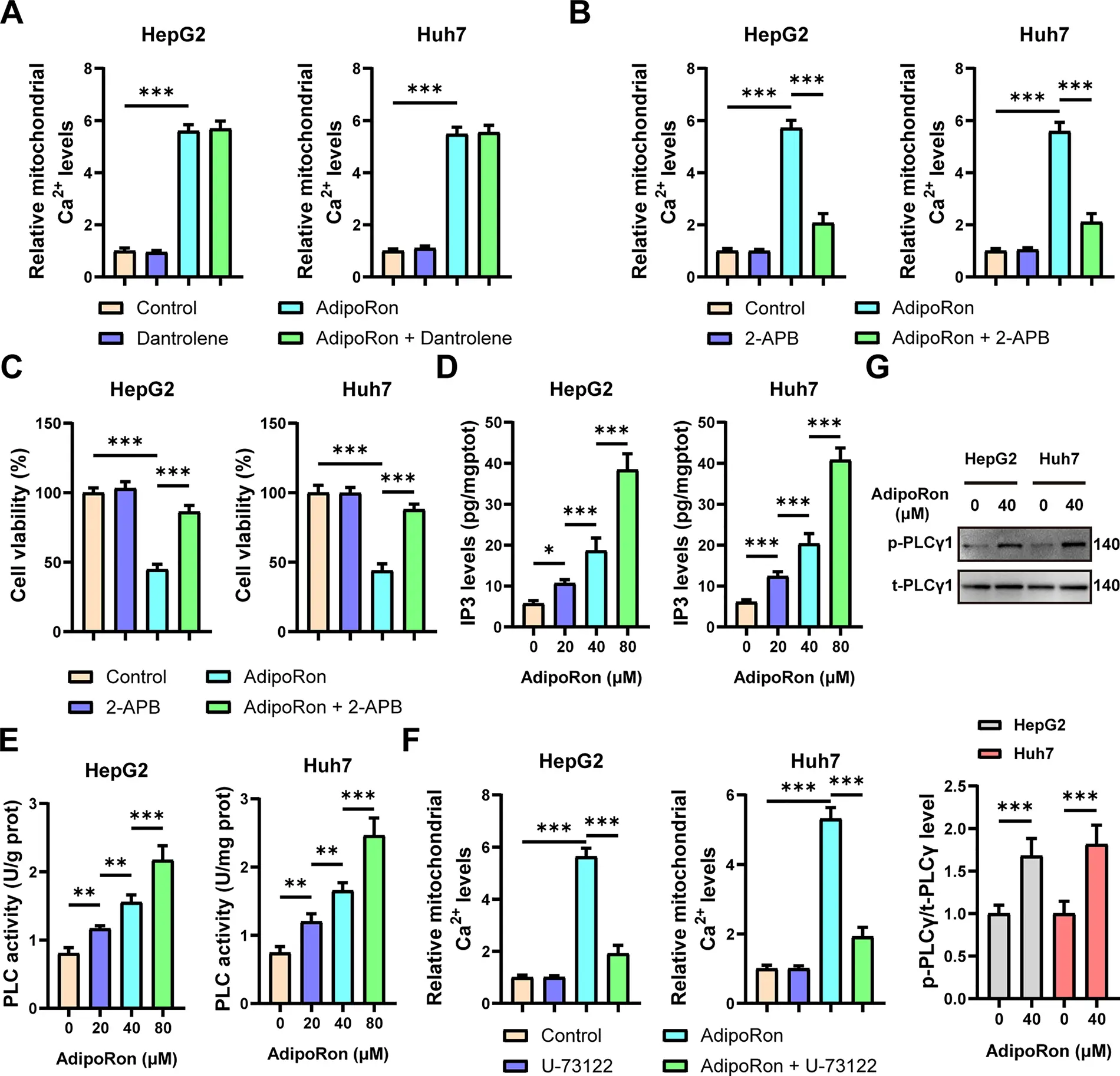 BIOCELL | Free Full-Text | AdipoRon Promotes Mitochondrial Ca 2 ...