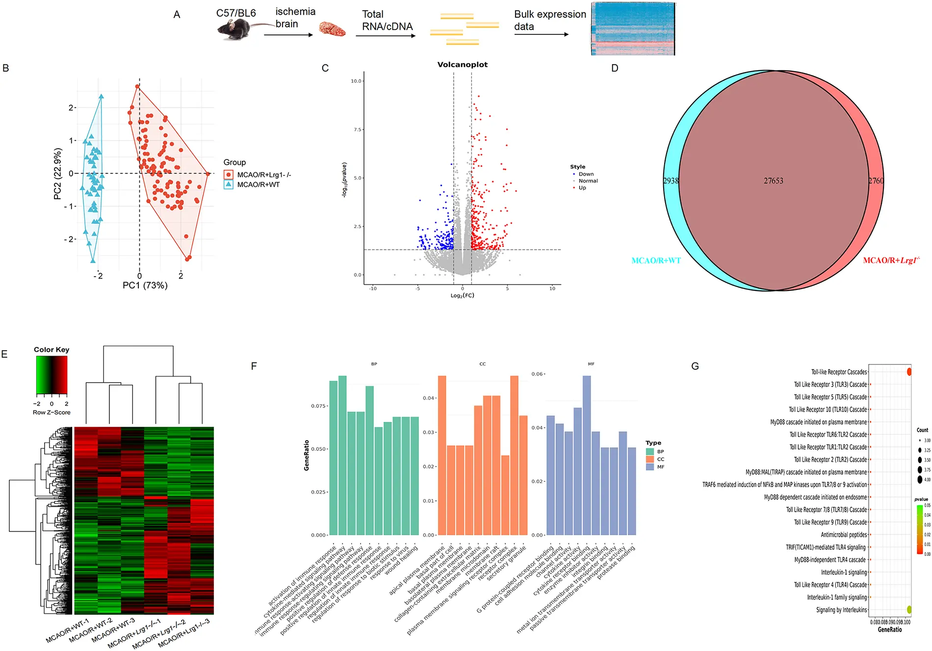 BIOCELL | Free Full-Text | Integrative Analysis of scRNA-Seq and Bulk ...