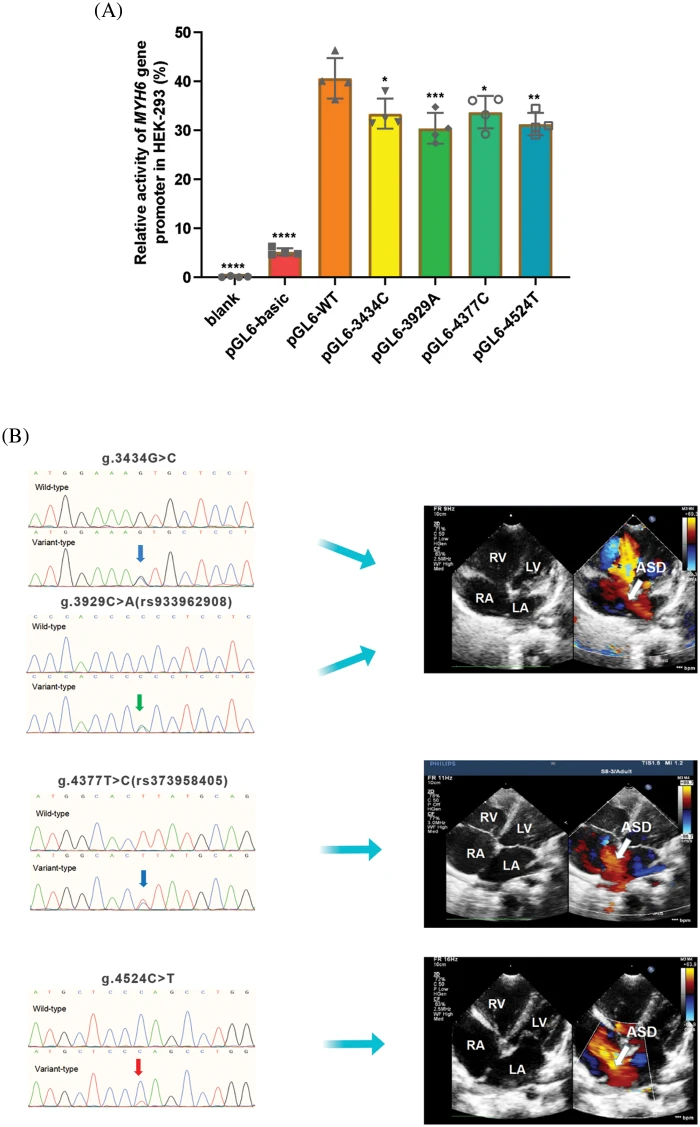 CHD | Free Full-Text | Genetic Analysis of Variants of the CHD | Free Full-Text | Genetic Analysis of Variants of the
