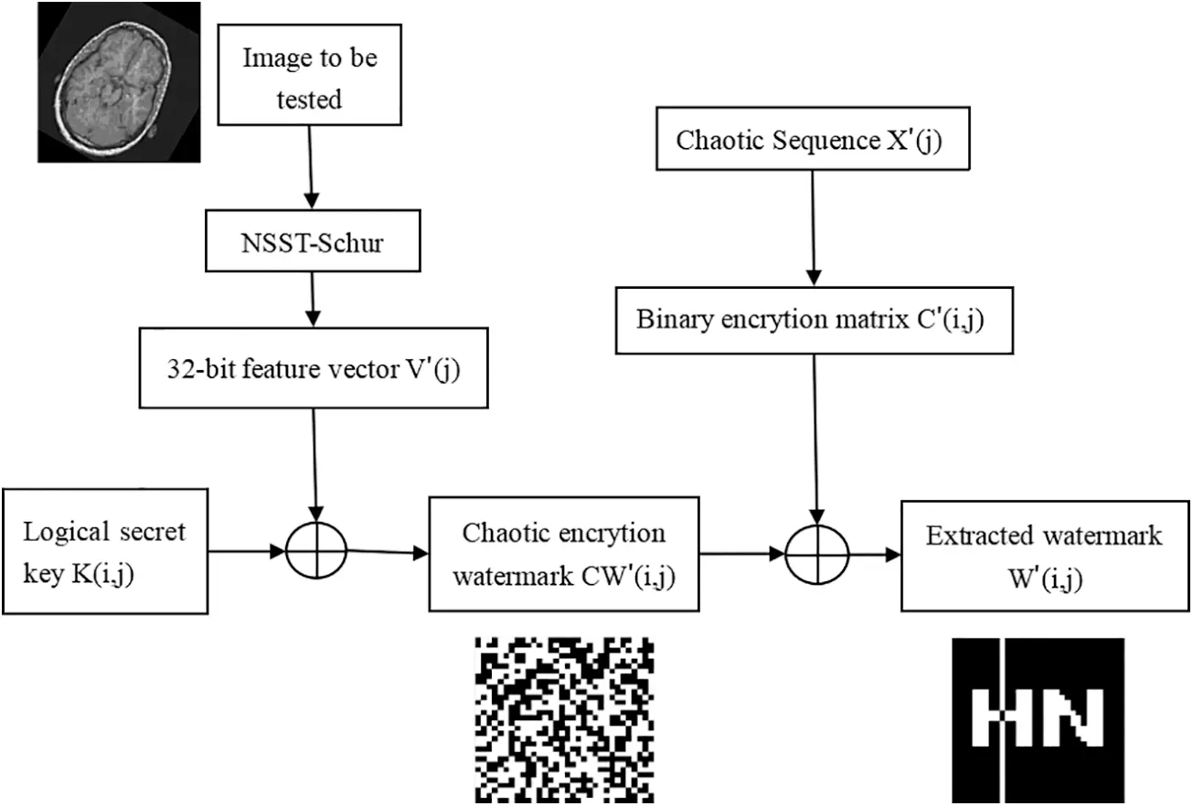 CMC | Free Full-Text | Robust Watermarking Algorithm for Medical Images ...