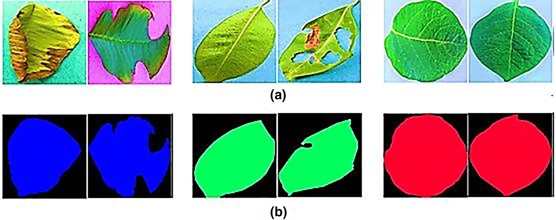 CMC | Free Full-Text | A Hybrid Deep Learning Approach to Classify the ...