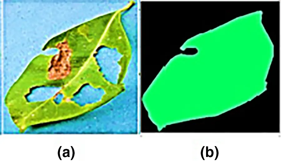 CMC | Free Full-Text | A Hybrid Deep Learning Approach to Classify the ...