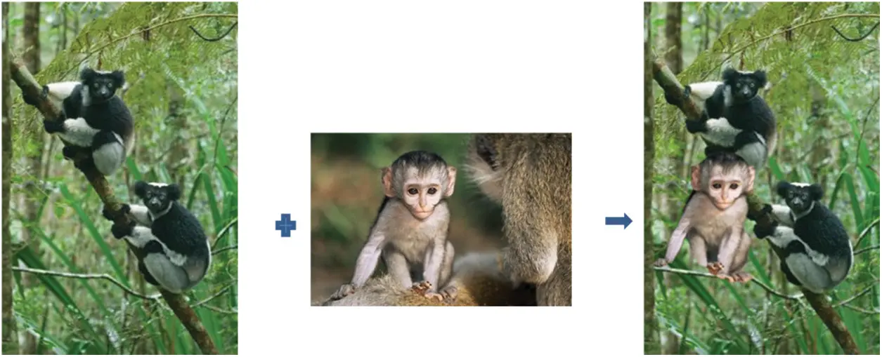 images