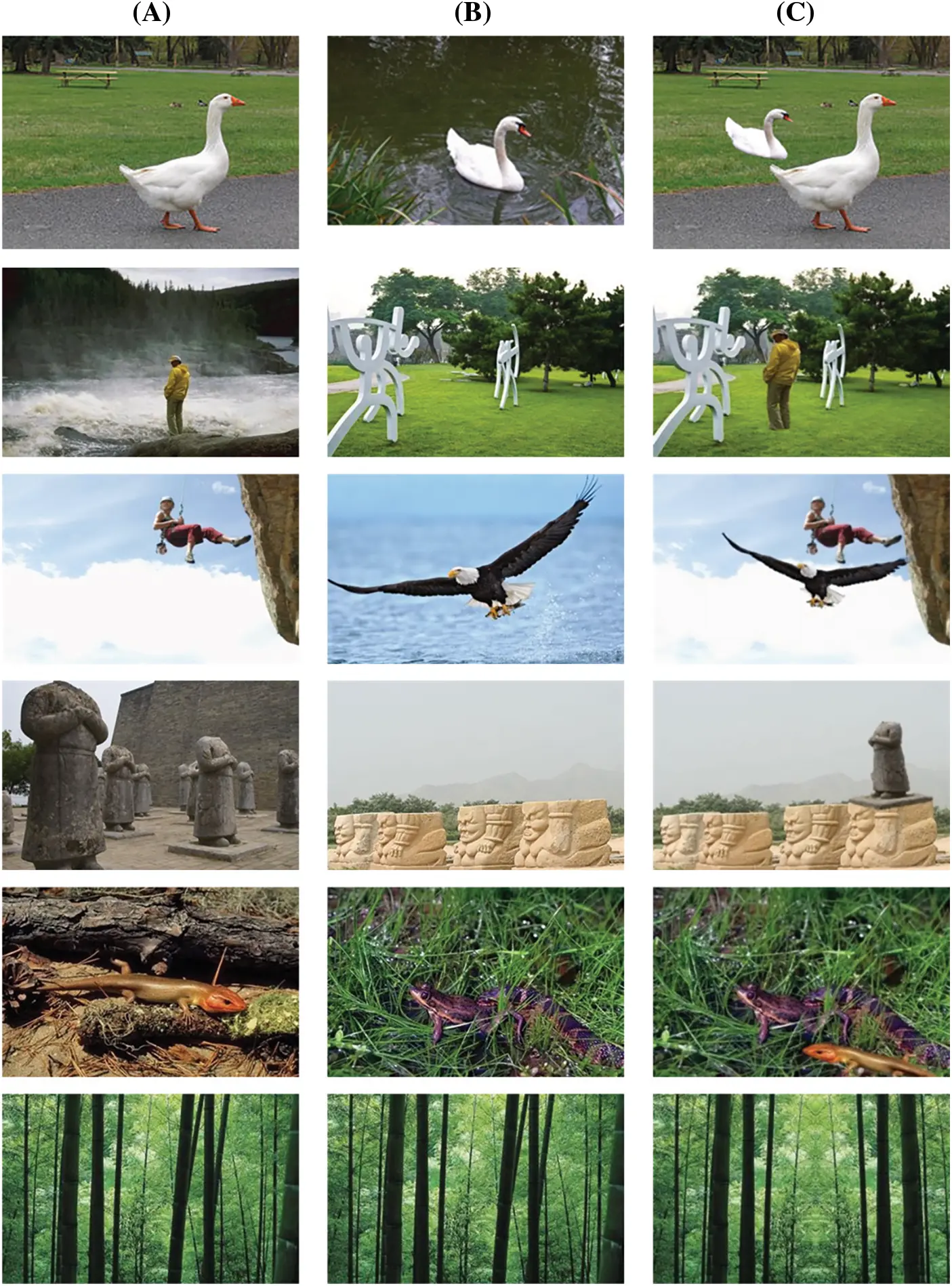 images