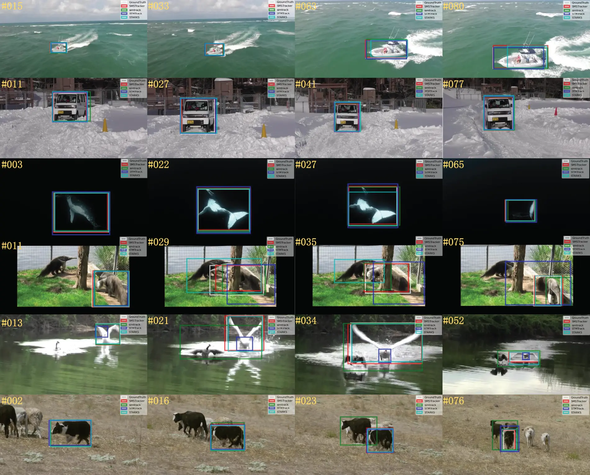 images
