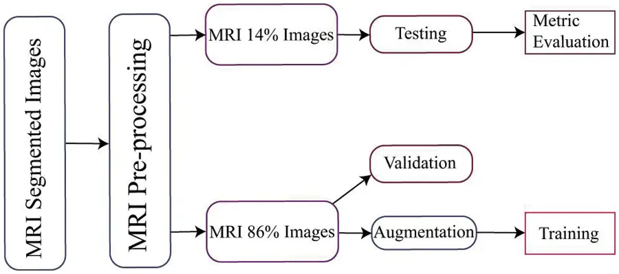 images