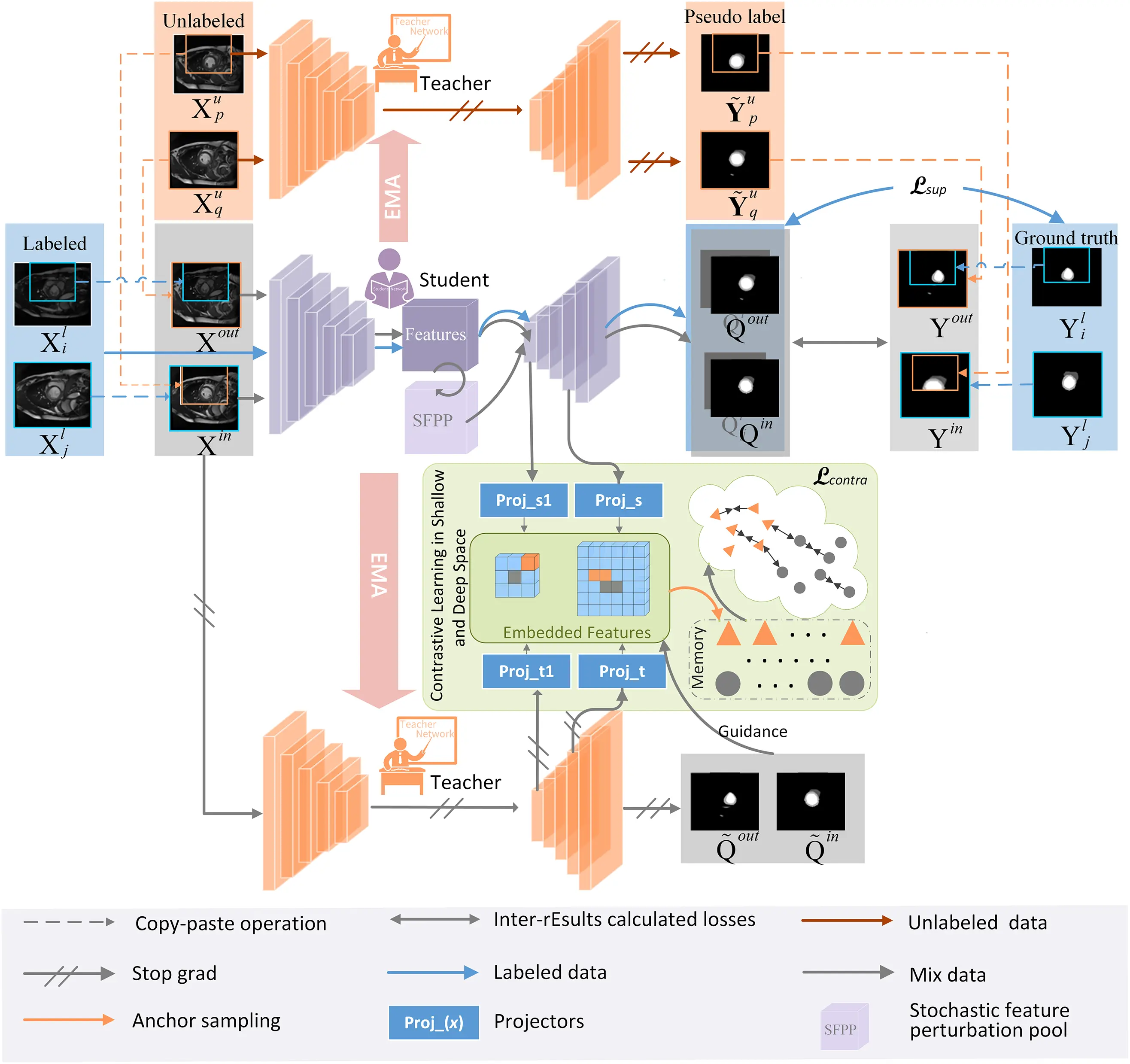 CMC | Free Full-Text | Stochastic Augmented-Based Dual-Teaching for ...