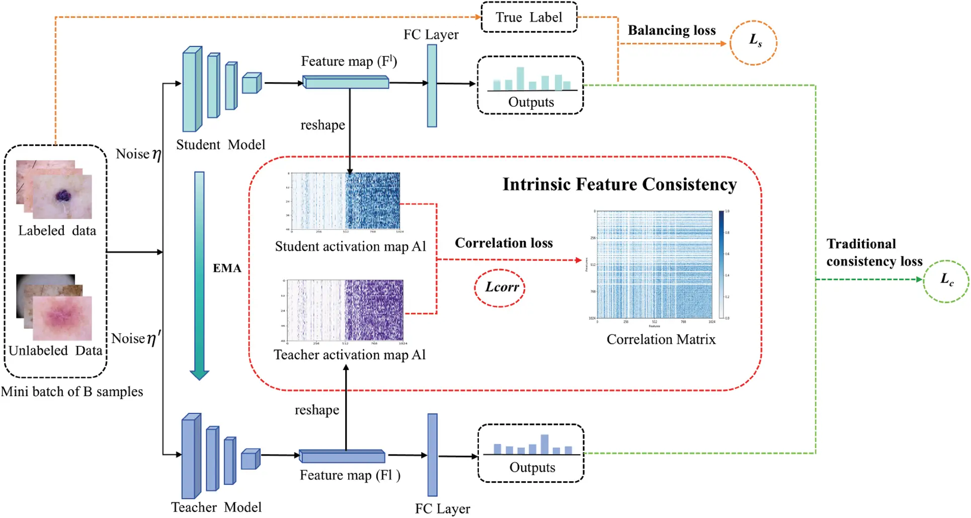 CMC | Free Full-Text | Semi-Supervised Medical Image Classification ...