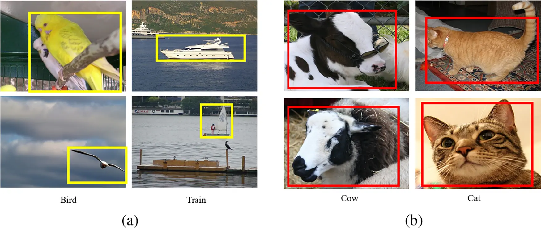 images
