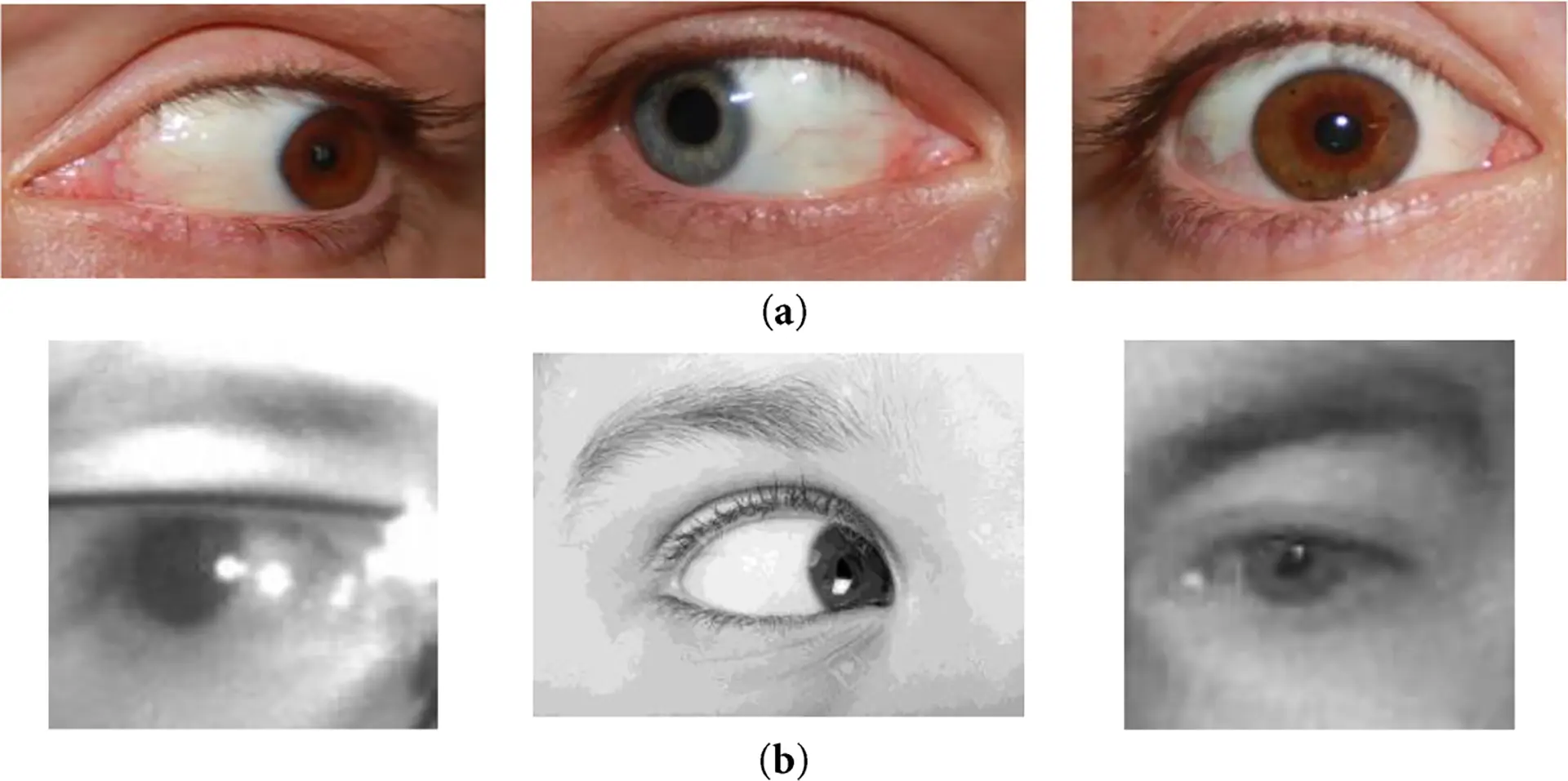 CMC | Free Full-Text | Study on Eye Gaze Detection Using Deep Transfer ...