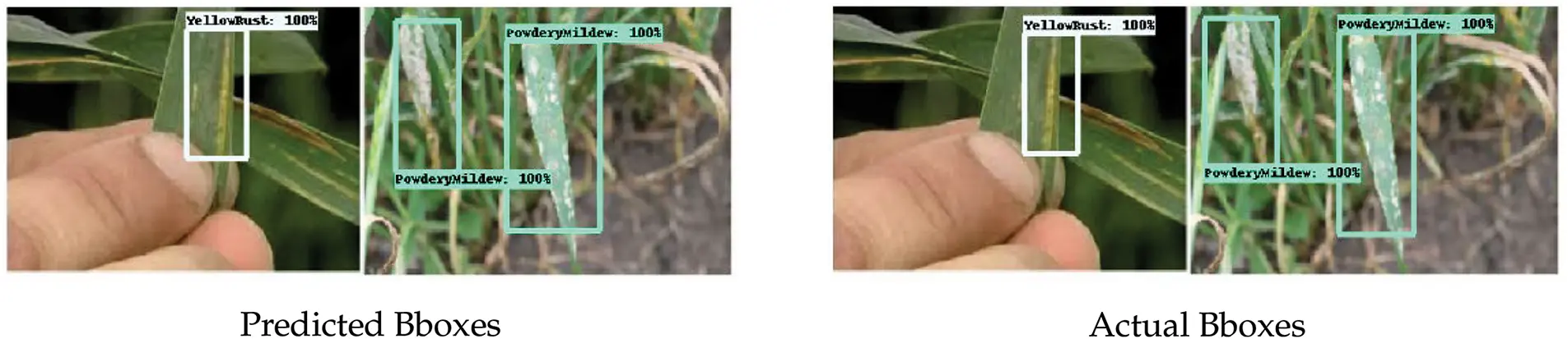 images