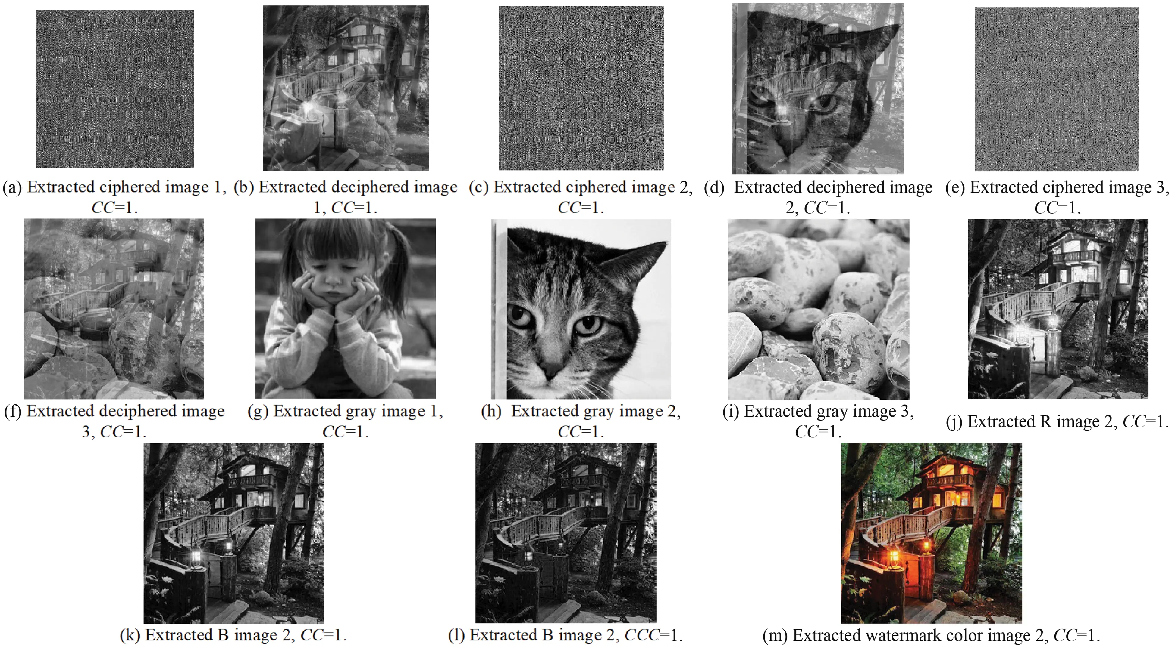 images