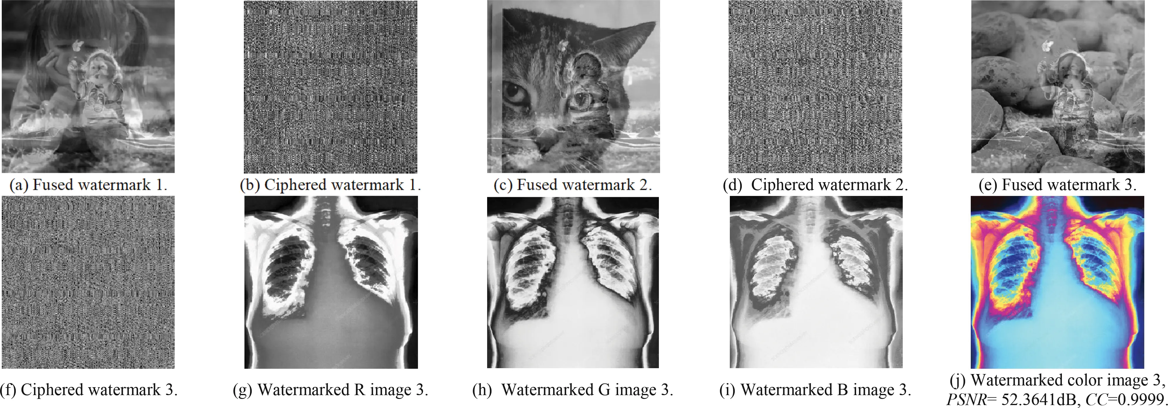 images