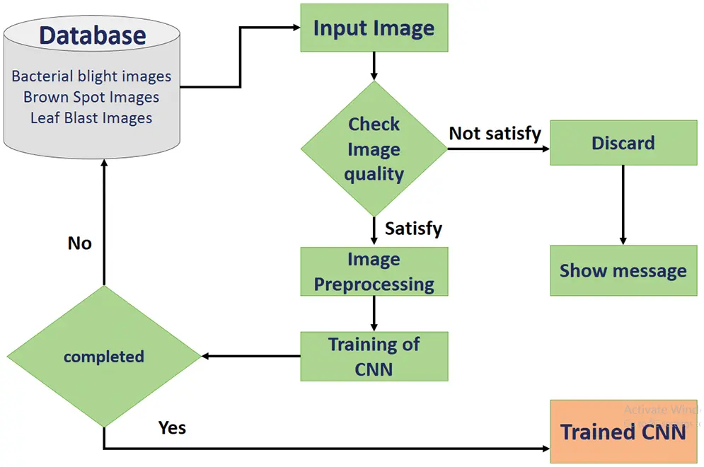 images