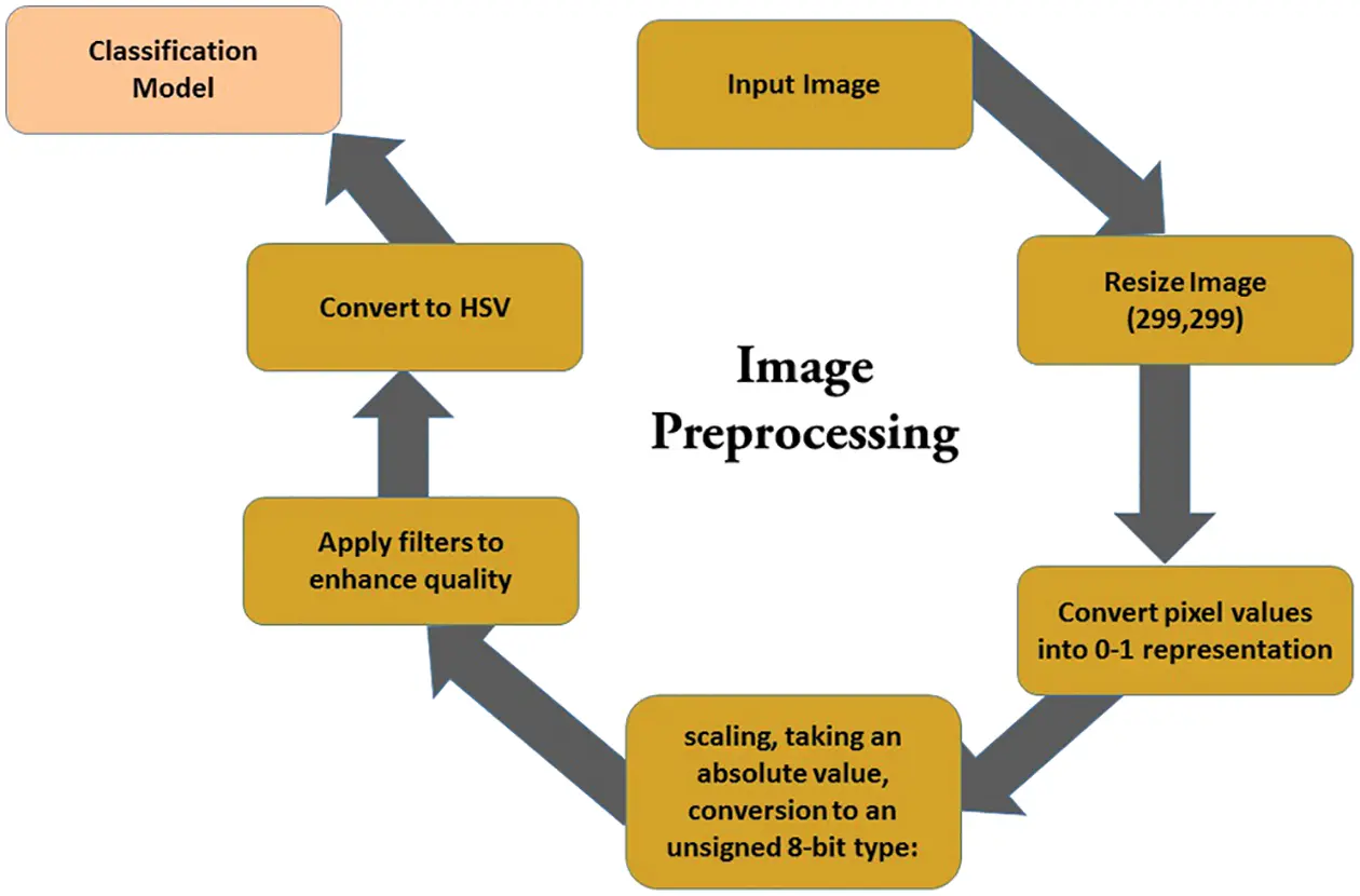 images