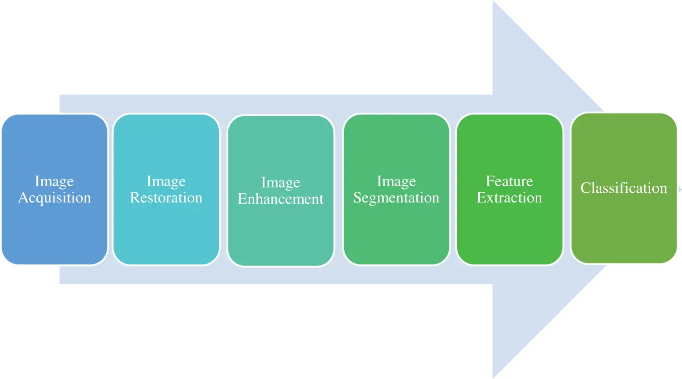 images