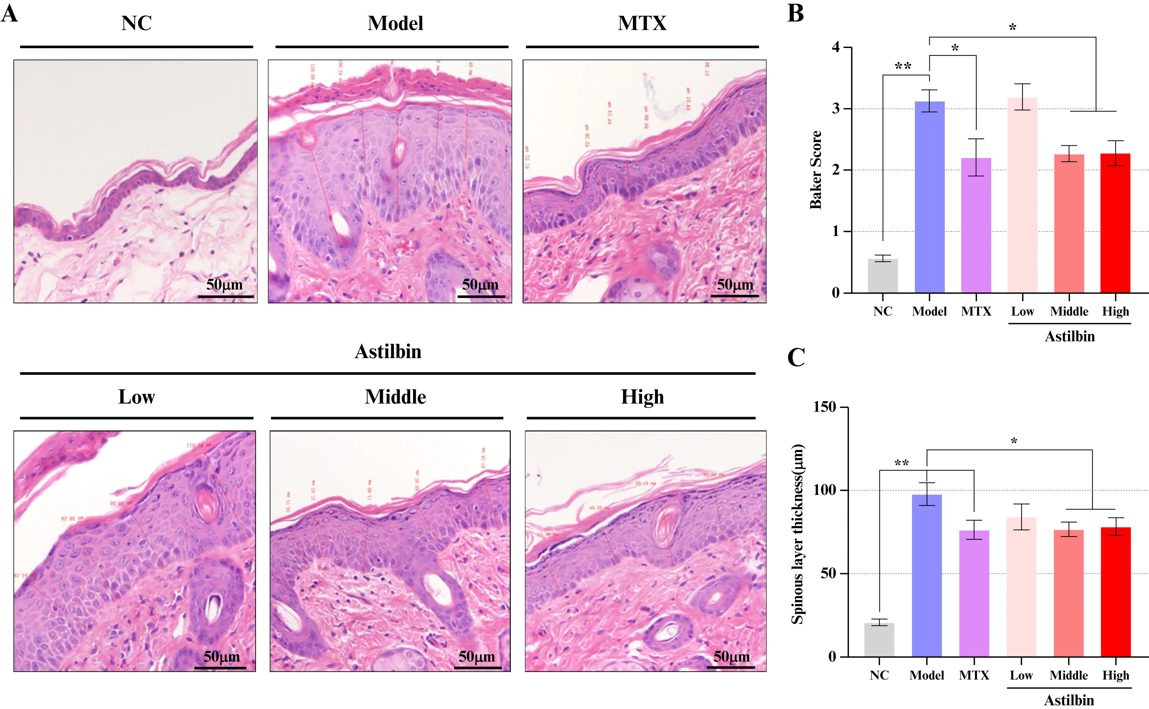 ECN | Free Full-Text | Astilbin ameliorates propranolol-induced ...