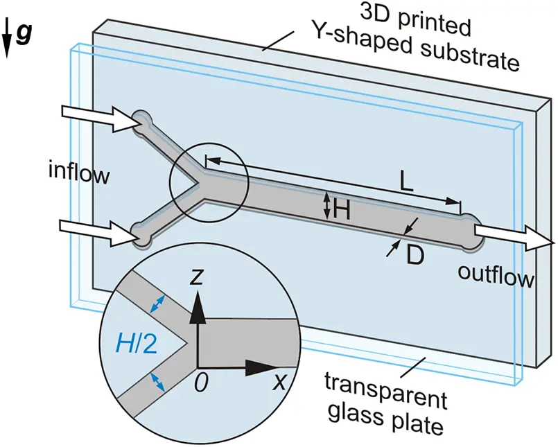 FDMP | Free Full-Text | Applying the Shearlet-Based Complexity Measure ...