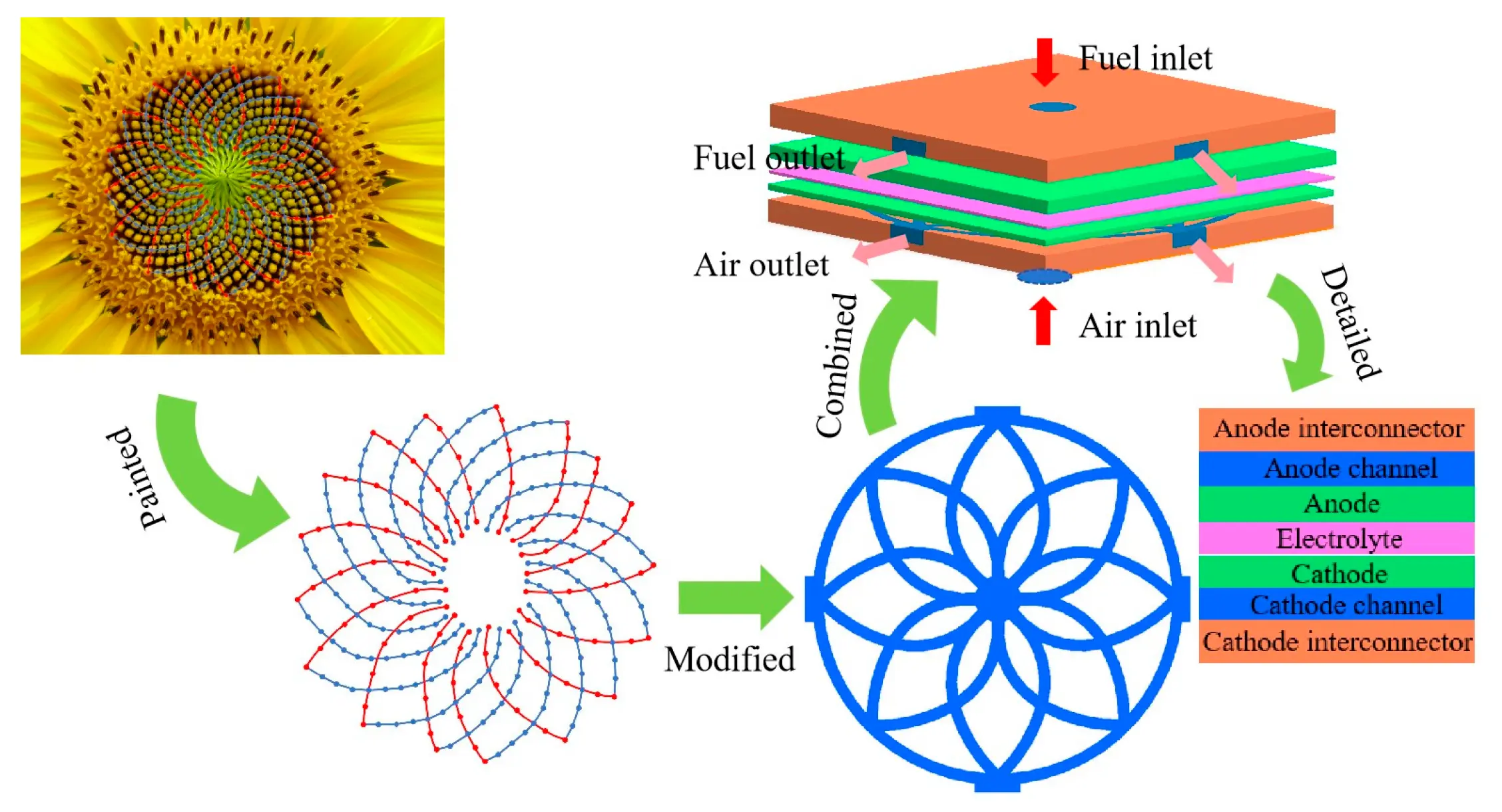 FDMP | Free Full-Text | Biomimetic Flow Field Inspired by Sunflower ...