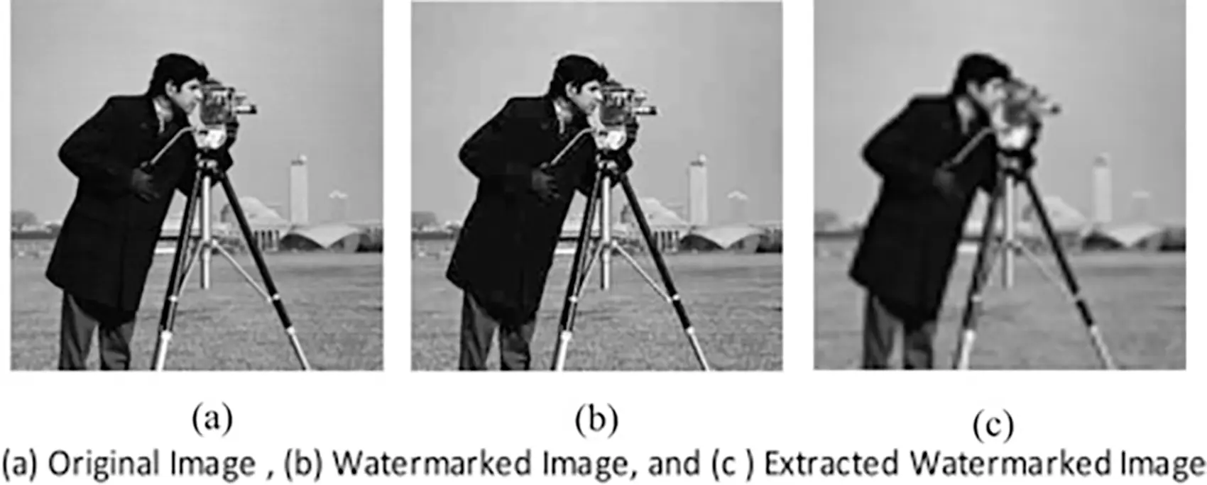 images