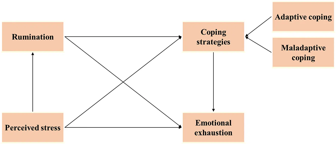 IJMHP | Free Full-Text | Rumination and Coping as Pathways from Stress ...
