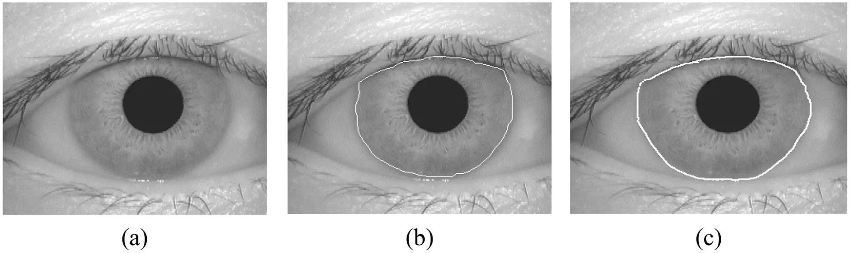 JAI | Free Full-Text | Iris Recognition Based on Multilevel ...