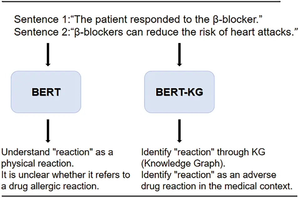 Bert Method Radiology Example JAI | Free Full-Text | A Knowledge-Enhanced Disease Diagnosis Method ...