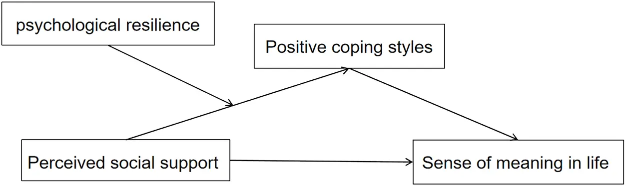 JPA | Free Full-Text | Perceived social support and sense of meaning in ...
