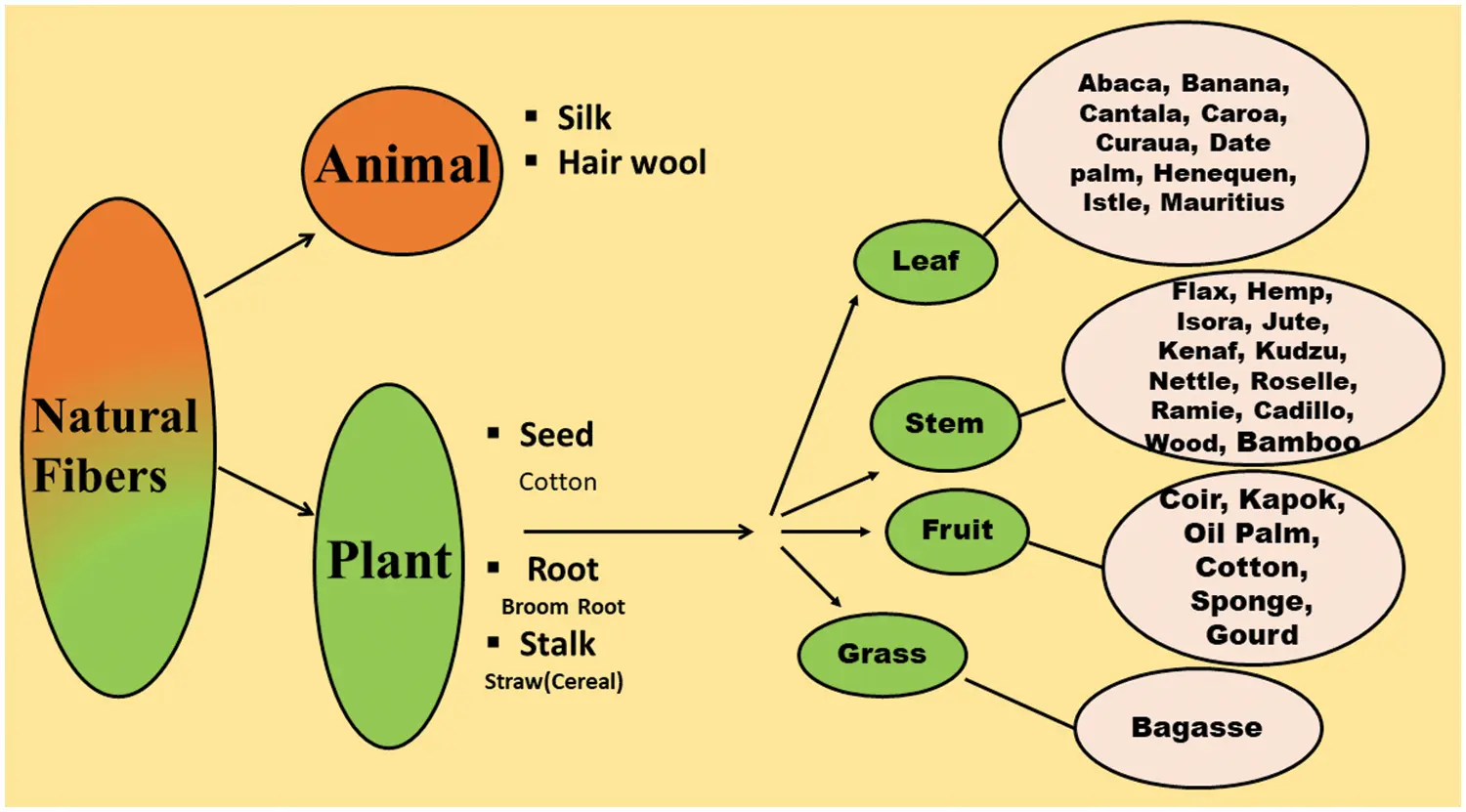 Fiber Tree Types JRM | Free Full-Text | A Review on the Advancement of Renewable Natural ...