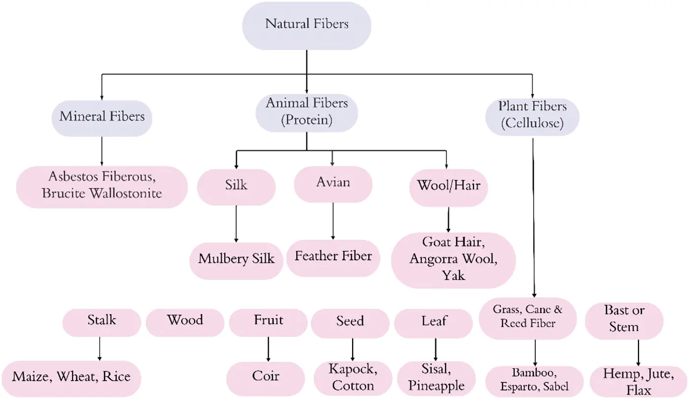 Fiber Tree Types JRM | Free Full-Text | A Comprehensive Review of Natural Fibers: Bio ...
