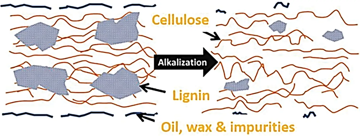 JRM | Free Full-Text | A Comprehensive Review of Natural Fibers: Bio ...
