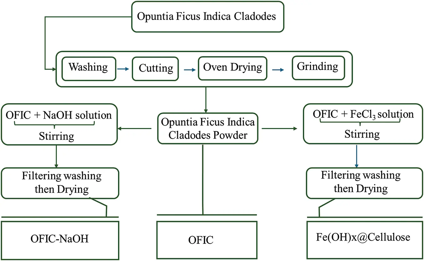 JRM | Free Full-Text | Iron Modified Opuntia ficus-indica Cladode ...