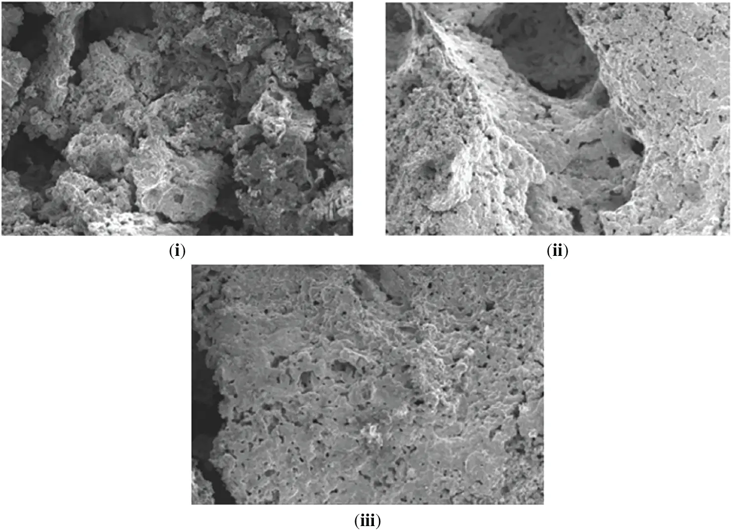 JRM | Free Full-Text | Production of Activated Biochar from Palm Kernel ...
