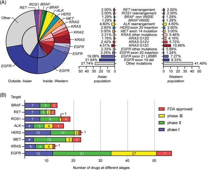 【激安セール】 Full-Text Free | ONCOLOGIE | Therapy Targeted in Advances 靴