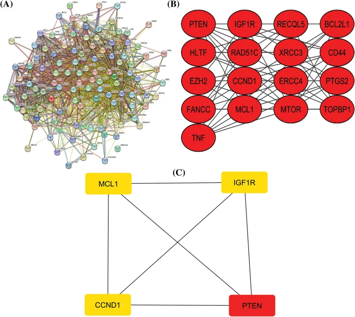 OR | Free Full-Text | Deciphering key genes involved in