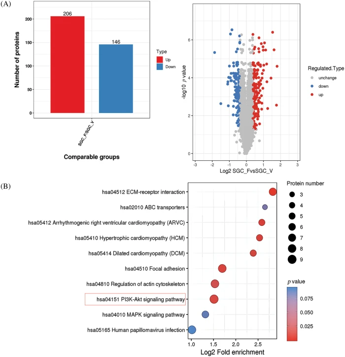 ミー Exploring the Characters of Non-Coding RNAs in