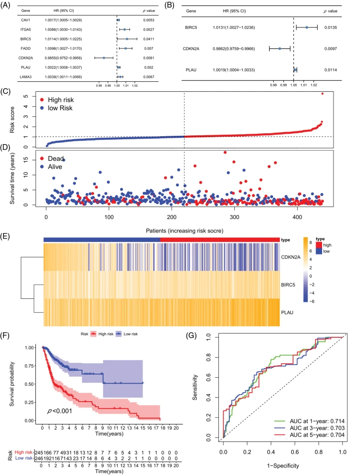 OR | Free Full-Text | Comprehensive bioinformatics analysis