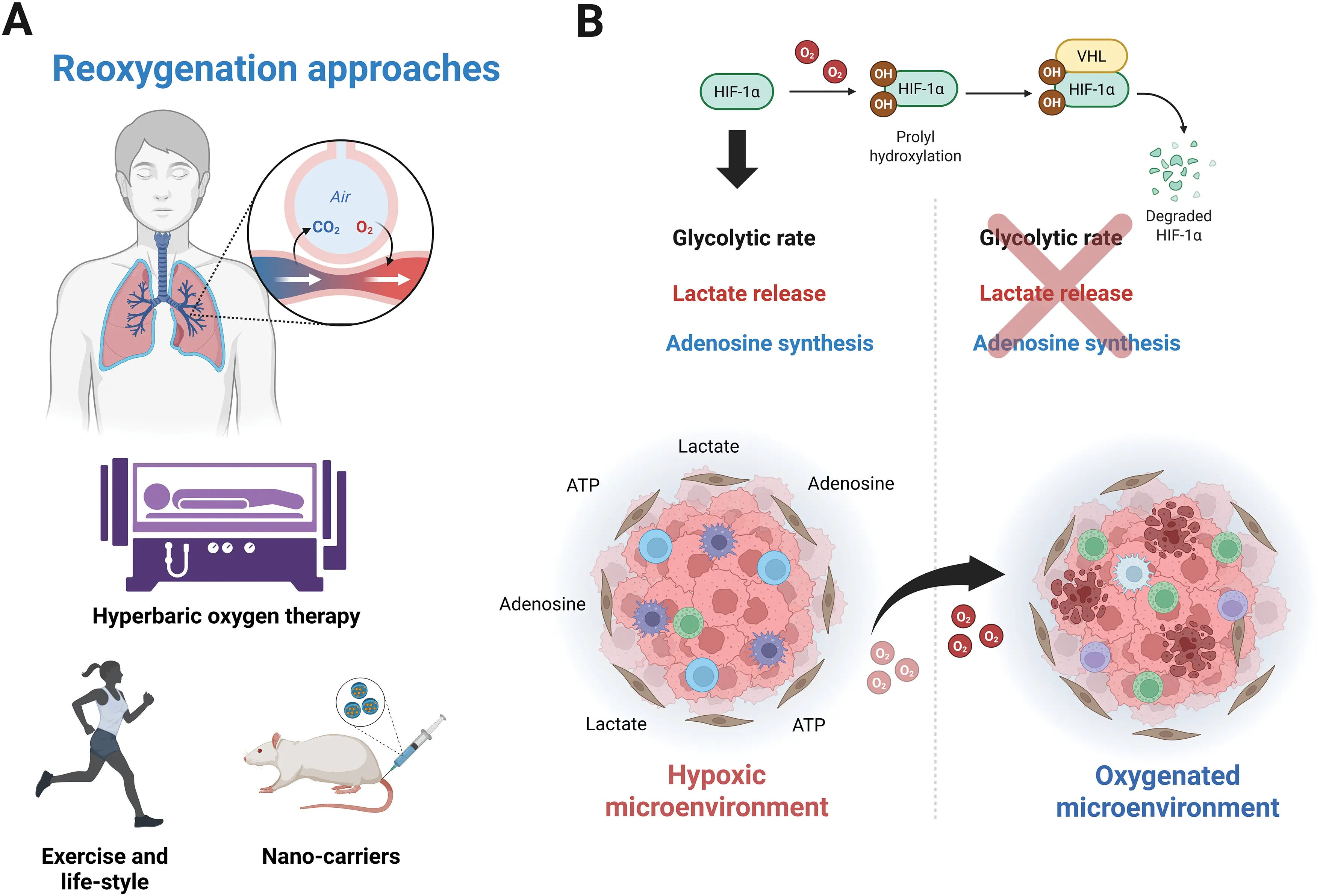 OR | Free Full-Text | Hypoxic link between cancer cells and the immune ...