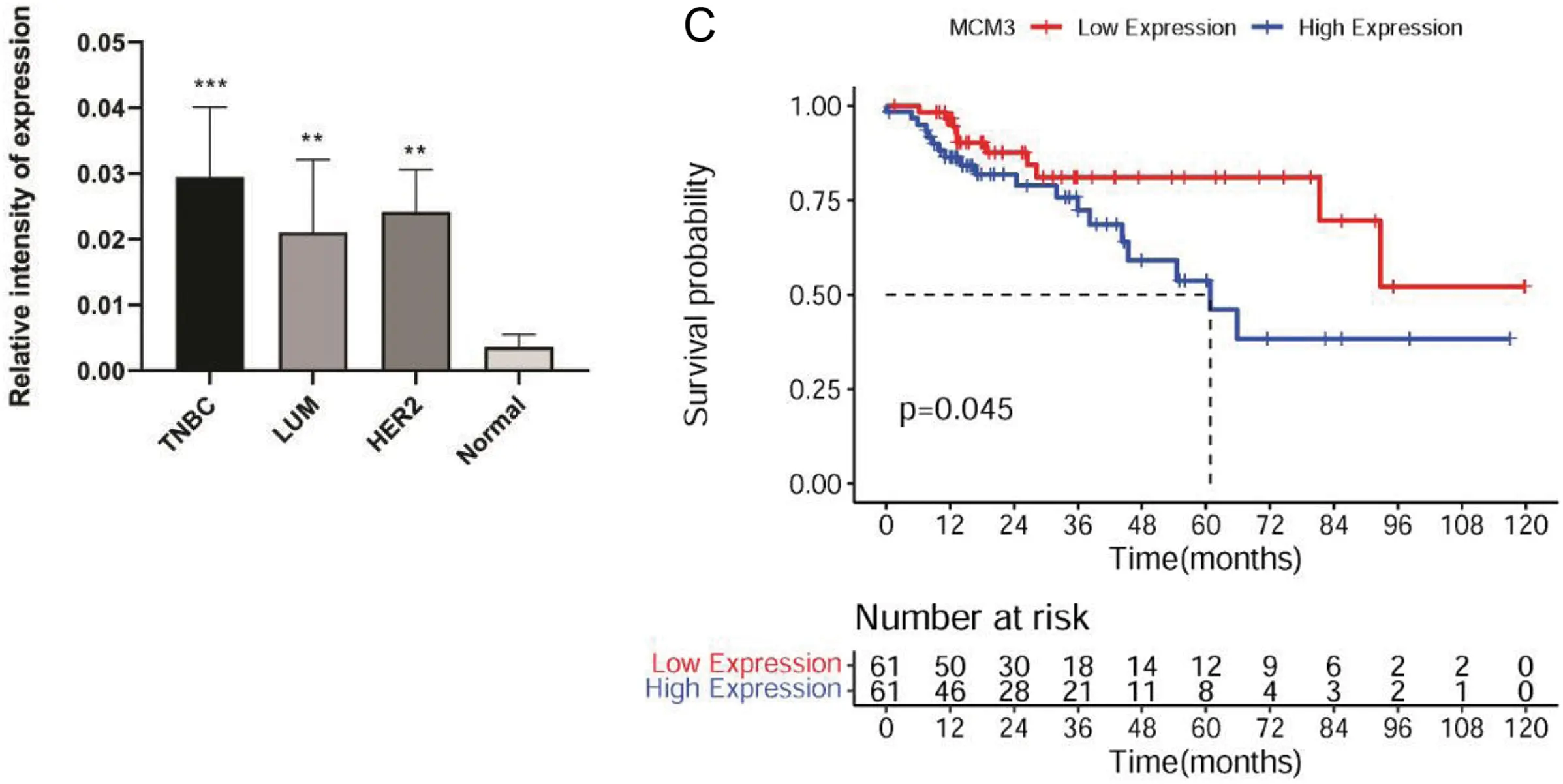 High Expression OR | Free Full-Text | ZMIZ2/MCM3 Axis Participates in Triple-Negative ...