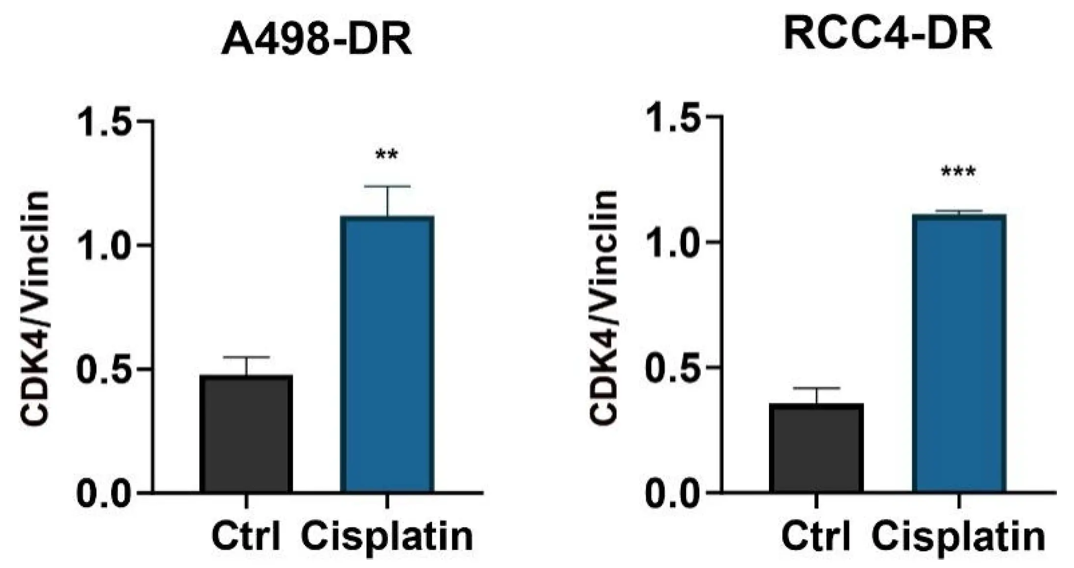 Resist Rcc Radiology OR | Free Full-Text | CDK4 Mediates Cisplatin Resistance in Renal Cell ...