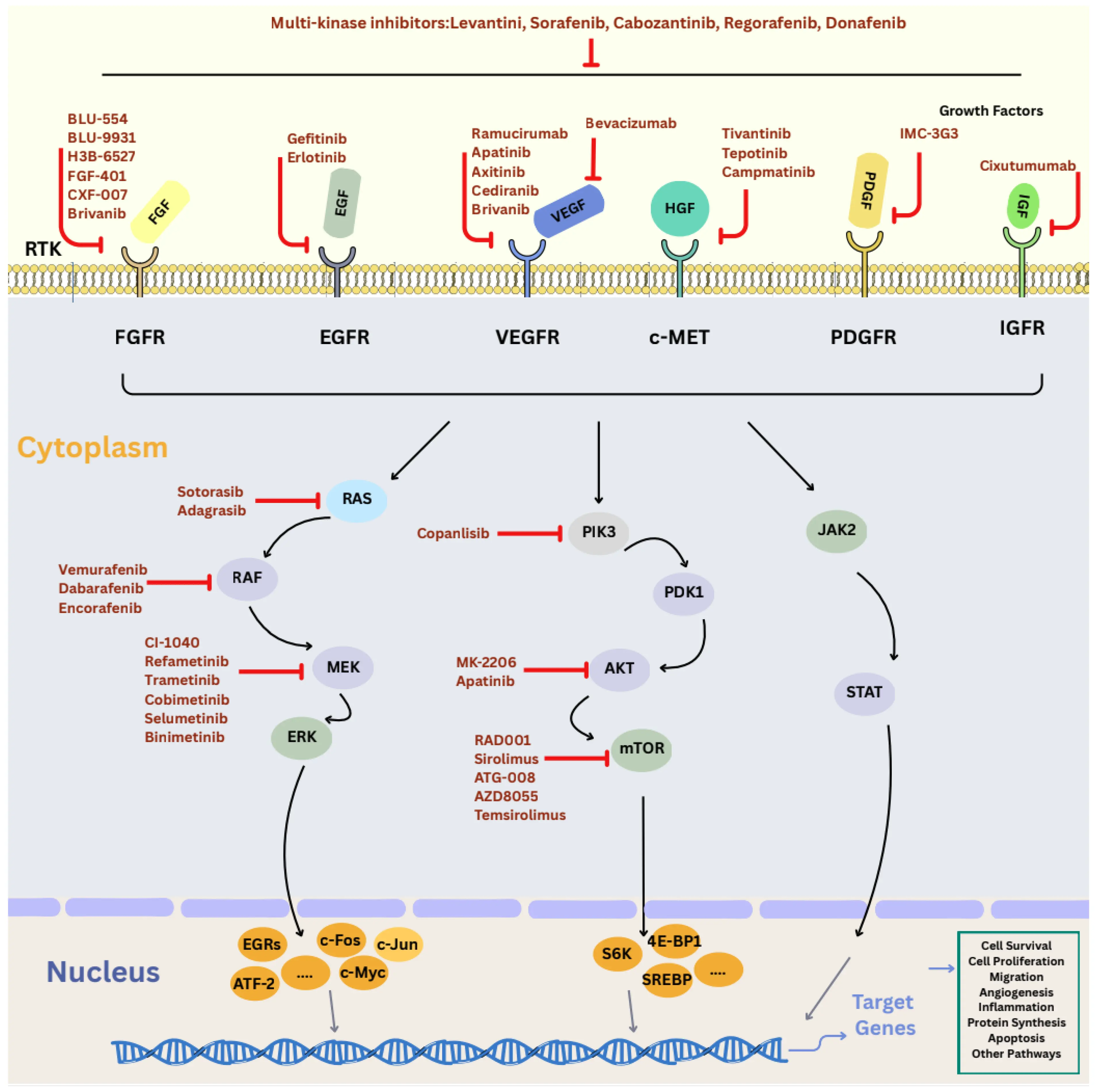 OR | Free Full-Text | Current and Future Landscape of Hepatocellular ...