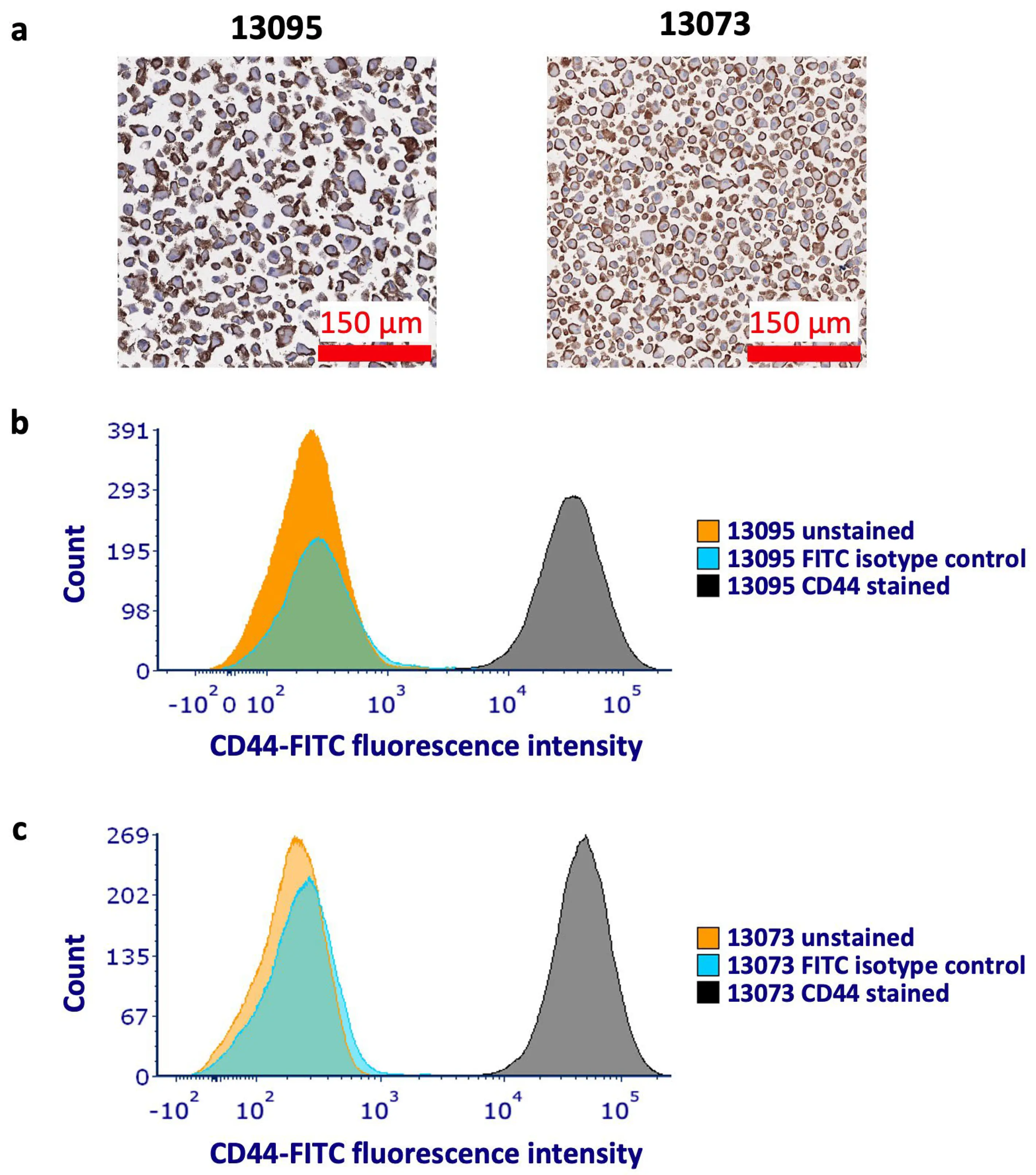 OR | Free Full-Text | Exploring the Role of CD44 in the Progression and ...