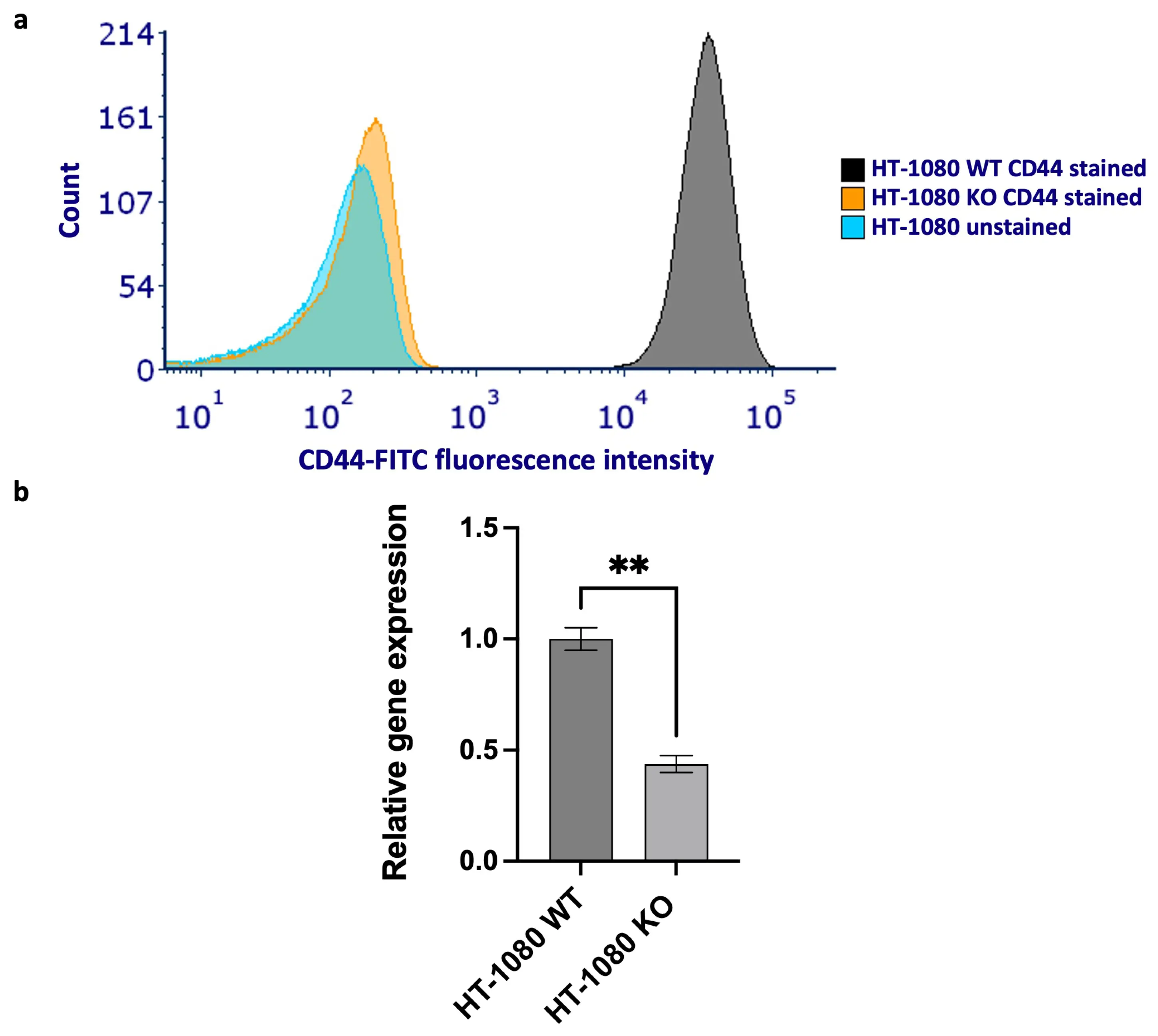 OR | Free Full-Text | Exploring the Role of CD44 in the Progression and ...
